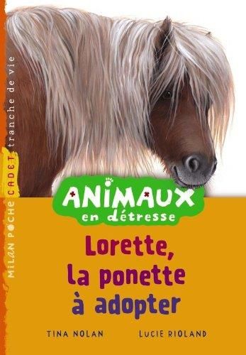 Lorette, le poney à adopter